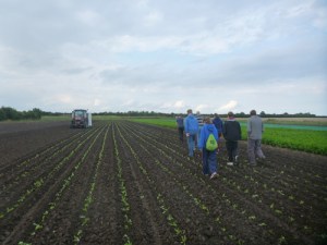 going to try planting small