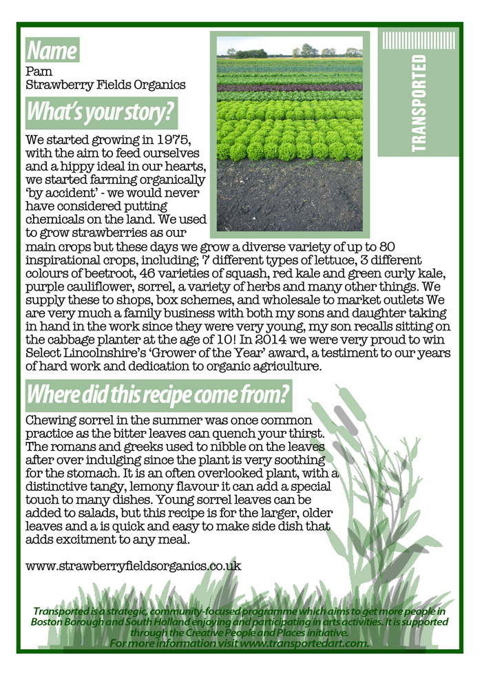 Strawberry fields back